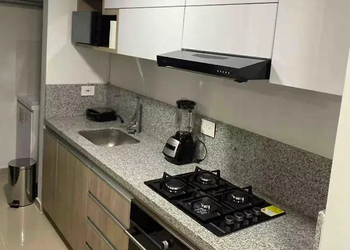 Lujoso Apartamento Con Aire Acondicionado En Calle 60 Ibague Tolima